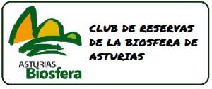 club reservas de la biosfera de asturias alto narcea muniellos fuentes del narcea degaña e ibias alojamientos artesanía ecoturismo medio ambiente paisajes increibles tranquilidad turismo rural alojamentos en muniellos suroccidente de asturias