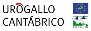 proyecto life urogallo cantabrico conservación protección de urogallo cantábrico fuentes del narcea degaña e ibias muniellos parque natural reserva de la biosfera